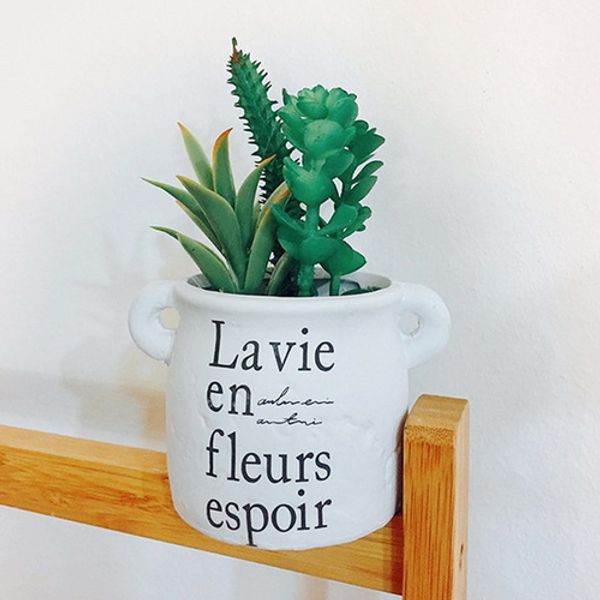 [하프클럽][바보사랑] 라비엔 3종 다육이화분 조화-스타일3