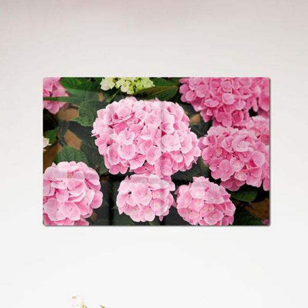 [하프클럽][바보사랑] 폼아크릴액자58CmX38Cm_분홍수국