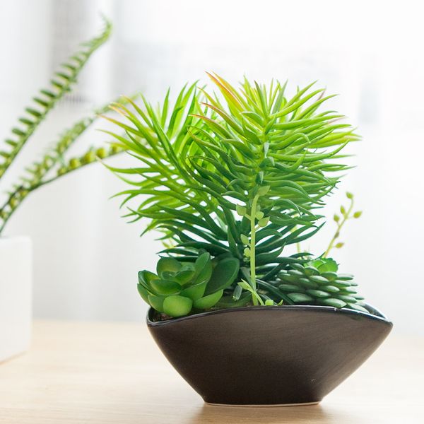 [하프클럽][바보사랑] 초록다육트레이화분 15cm 조화 인테리어 장식 FMFUFT