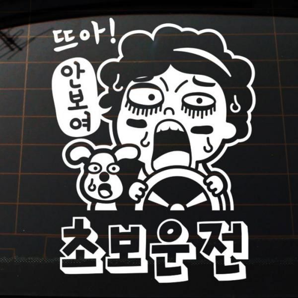 [하프클럽][바보사랑] 뜨아 안보여 강아지 초보운전